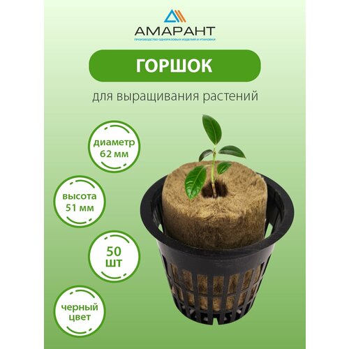 ���� ������ ������� ��� ������� 50 �� ������ ������ ������