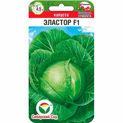 ���� ������ ������� �/� ������� F1 ��. (��������� ���) 10�� ������ ������