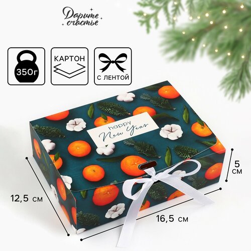 ���� ������� ���������� �������, 16.5 � 12.5 � 5 ��, ����� ��� ������ ������