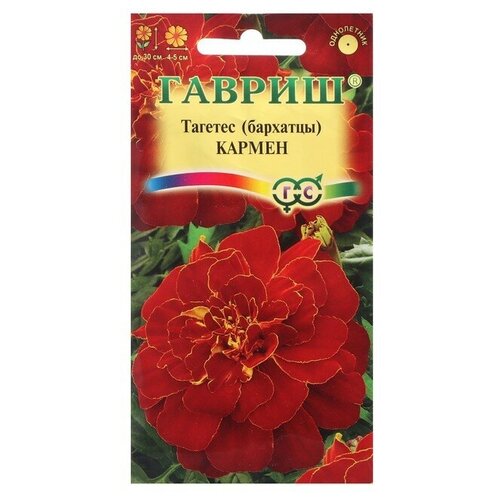 ���� ������ ������ �������� ����������� (�������) 