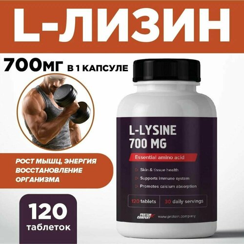   700 .    .    , ,  .  . l-lysine, 120 ,     -     , -, 