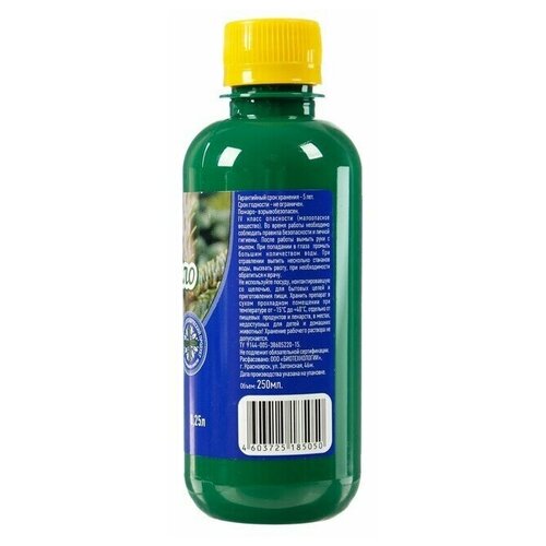 ���� ������� ���� � �������� ����������, 