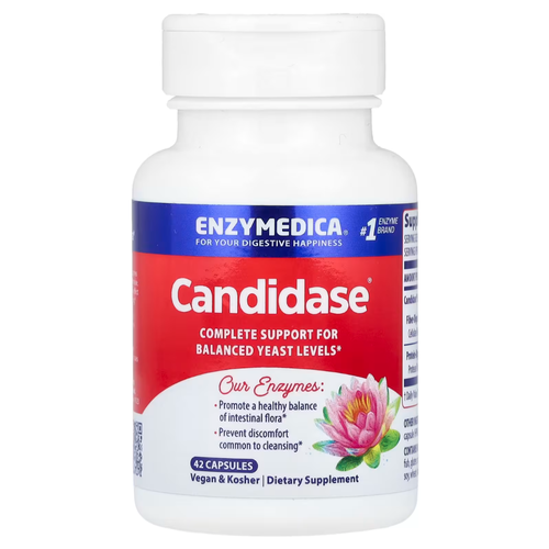 ���� ������� Enzymedica Candidase, 60 �, 42 ��. ������ ������