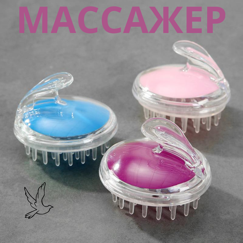 ���� ������������ �������� ��� ����� ������ ������ ������