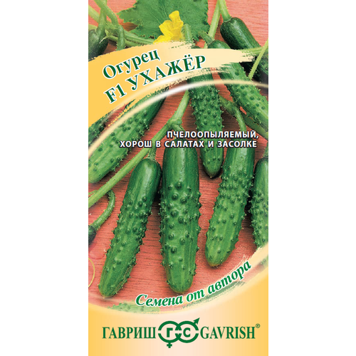 ���� ������ ������ ������ F1 10�� �� (������) ����� ������ ������