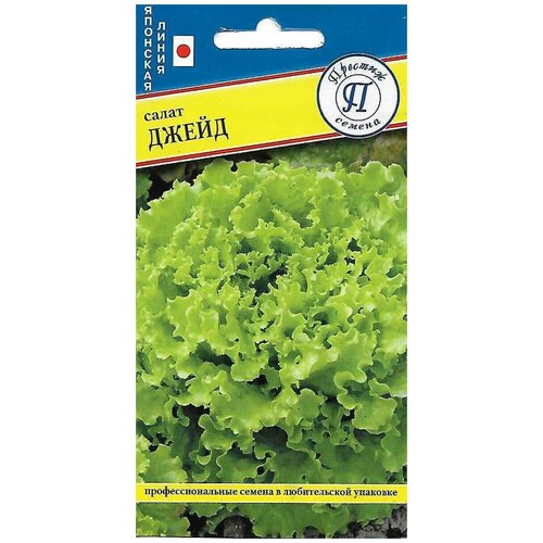 ���� ����� �����. ������. ����� ������ ��������� � ���������� ����-������� ������, ���������� �������, ��������������� ������, �������� ������ ������ ������