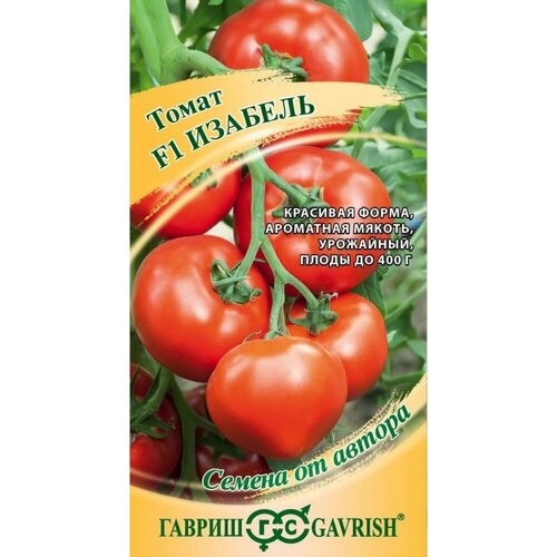 ���� ������ ����� ������� F1 5�� ��� ������ (������) ����� �24 ������ ������