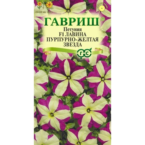 ���� ������ ������� ������ F1 ��������-������ ������ ��������� 7�� ��� 100�� (������) ������ ������