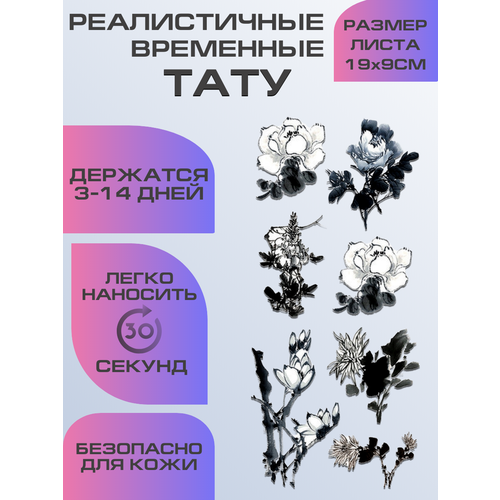 ���� ���� ���������� ��������������, ��������� ���� ������ ������