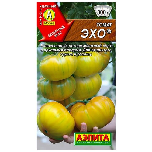 ���� ������. ����� 