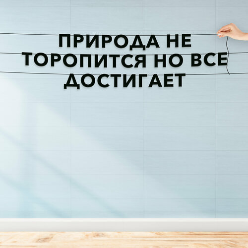 ���� �������� �������� �� �����, ������ �������� �� ����� - �������� �� ���������, �� ��� ���������, �������� ���������. ������ ������