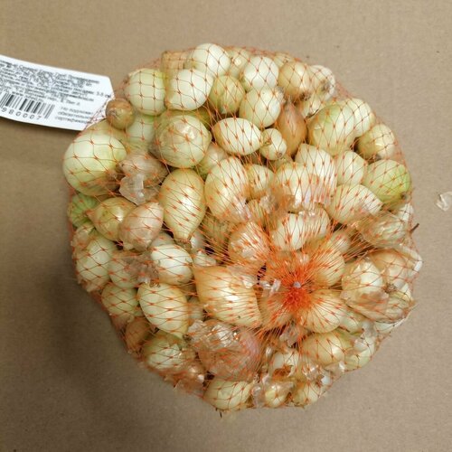 ���� ��� - ����� ������ ������ ����� ���� (������) 100�� ������� ������ ������