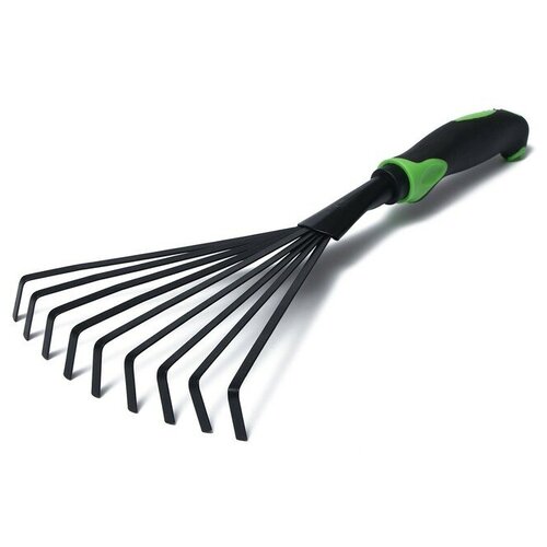 ���� ������ �������, ������������, ����� 37,5 ��, ����������� ����� ������ ������