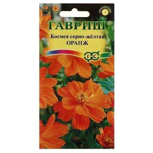 ���� ������ ������ ������ 