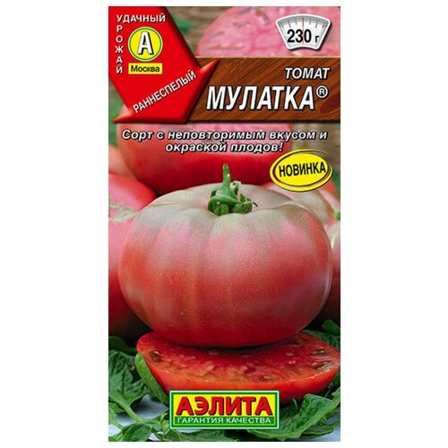 ���� ������. ����� 