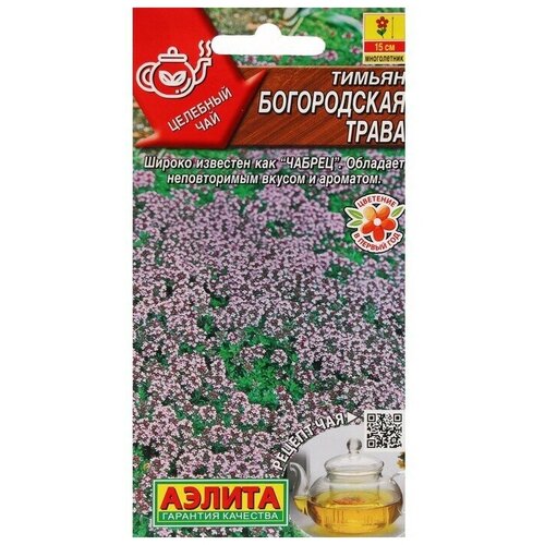 ���� ������ ������ 