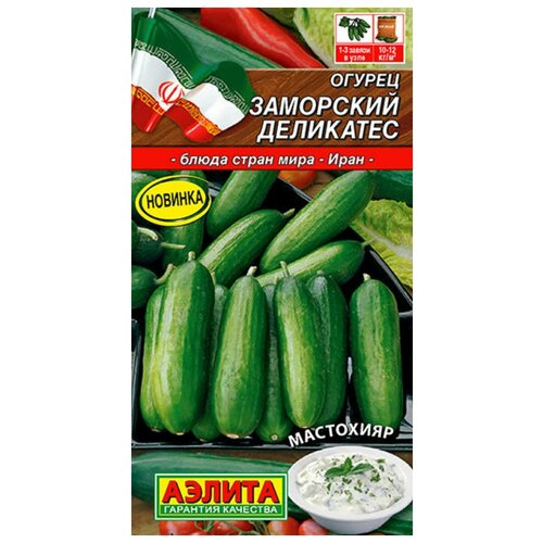 ���� ������. ������ ����������� 