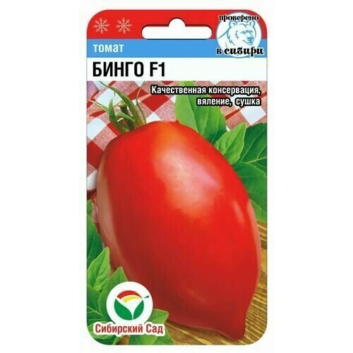 ���� ������ ����� ����� F1 15�� ����� ������ (��������� ���) ������ ������