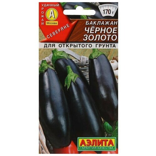 ���� ������ �������� 