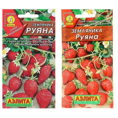 ���� ������ ��������� 