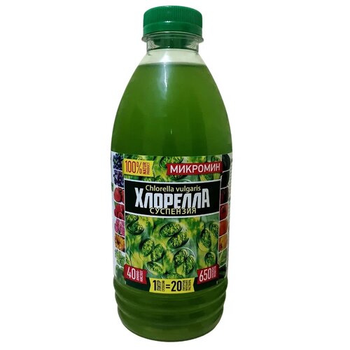 ���� ��������� �������� �������� ���������, 1 �, 1040 �, 1 ��. ������ ������