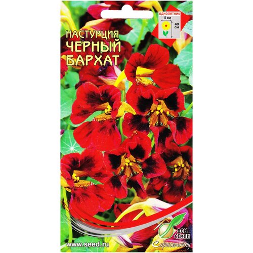 ���� ������ ��� ����� ��������� ������ ������, 9 ��. ������ ������