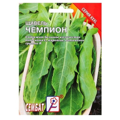 ���� ������ ���L ������ 