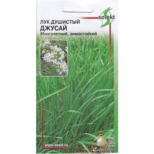 ���� ��� �������� ������, 40 ����� ������ ������