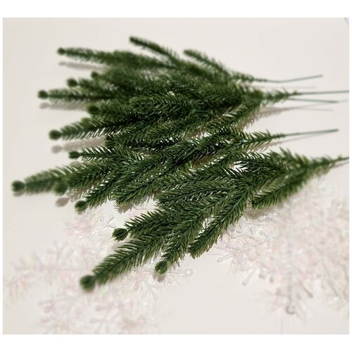 ���� ����� ������ �� ������������� ����� 10 �� . �������� �������. ���� ������. ������ 31 ��. ������ ������