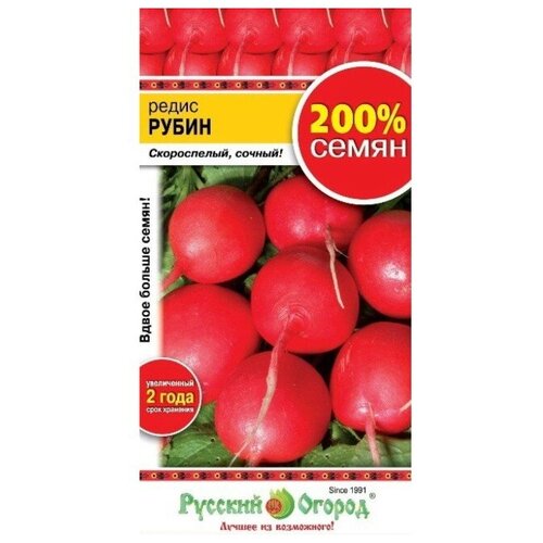 ���� ������. ����� 