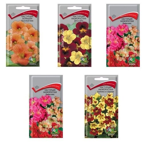 ���� ����� ����� ���������, 5 ��, ��������� ����, �������� �� ��������, ������ ���� 2 ��, ���� � ����. ������ ������