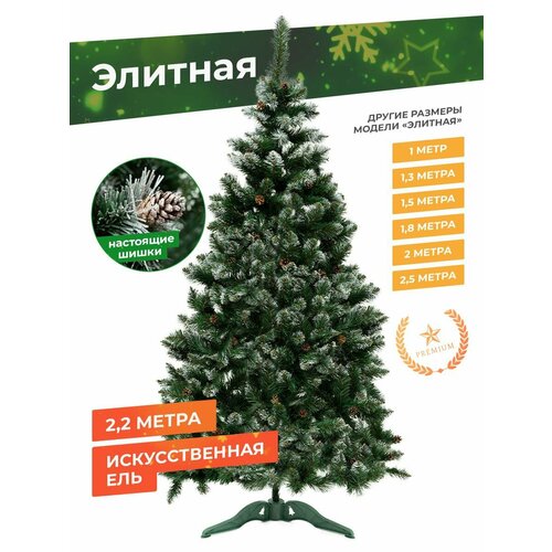 ���� ���� ������������� ����������� � ������� TIME TO PARTY ������� 220 �� ������ ������