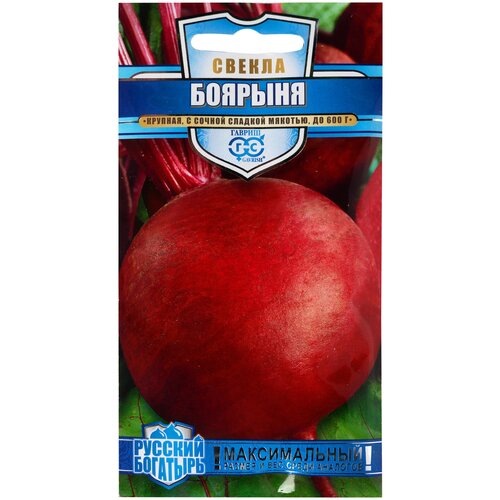 ���� ������ ������ ������� �������� ������ ������� 2 � ������ ������