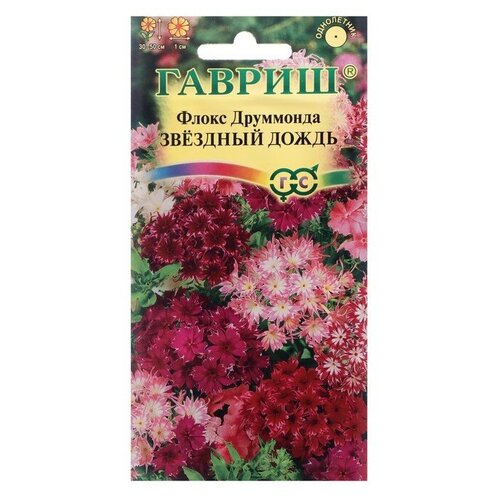 ���� ������ ������ ����� (���������) 