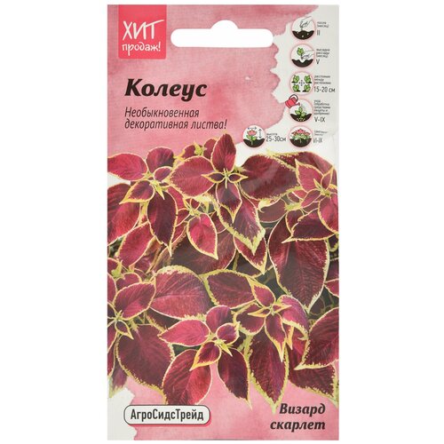 ���� ������ ������ ������� 10 �� ��� / ������ ������ ����������� ��� ���� � ������� � ����� / ������������� ������ ������