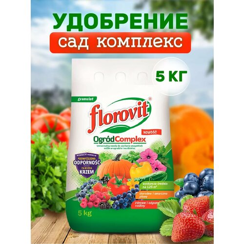 ���� ��������� ������������� ��������������� ��� �������� 5 �� ������ ������