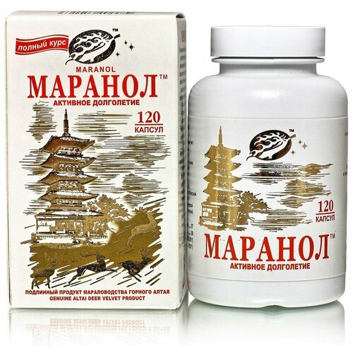 ���� ������� / �������� ���������� 120 ������ / �������� �������� ��������� / ����� ������ ������