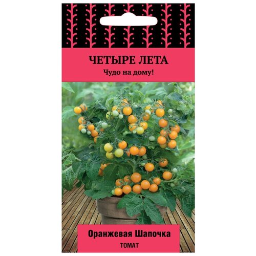 ���� ������ ����� ��������� ������� ����� 5�� ��� ������ (�����) ������ ���� ������ ������