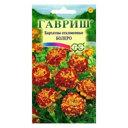 ���� ������ �������� ����������� (�������) ������, 0,3�, ������ ������ ������