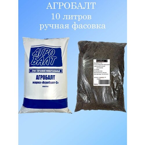 ���� �������� �������� �������� � �������, 10 �, ������ ������