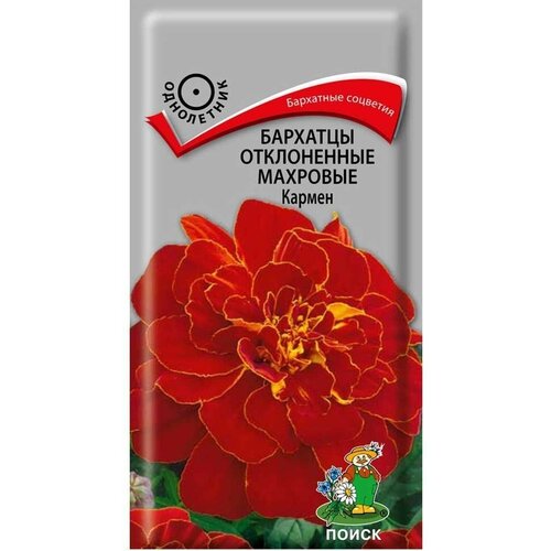 ���� ������ ��������� ����� ������ ����������� �������� 0,4 � ������ ������