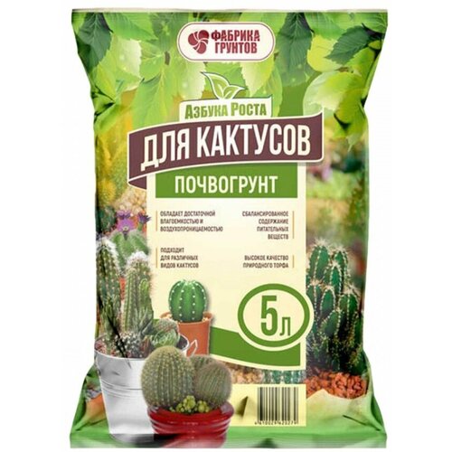 ���� ���������� ������ ����� ��� ������� 5�. ������ ������