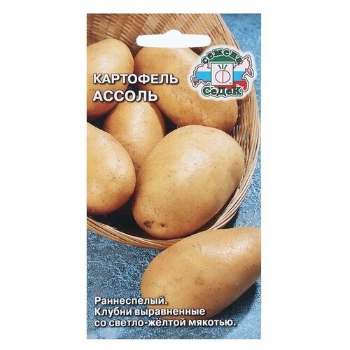 ���� ������ ��������� ������* ������ ������