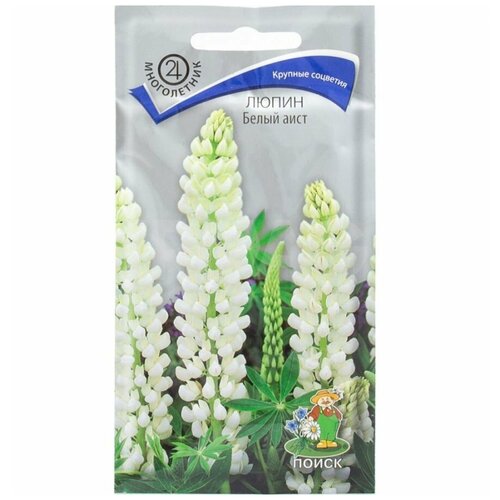 ���� ������ ������ ����� ���� 1� ������ ������