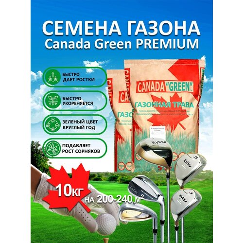 ���� �������� ����� ������ ������ ���� ������� PREMIUM 10 ��/ ������, �������, �������� ������ ��� ������/2 �� ������ ������