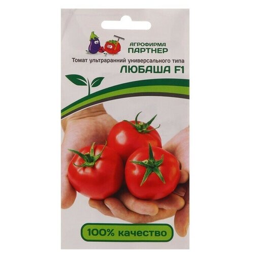 ���� ������ ����� 