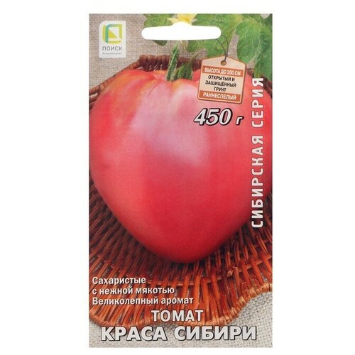 ���� ������ ����� 