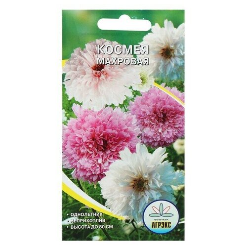 ���� ������ ������ ������ ��������, �, 0,2 � ������ ������