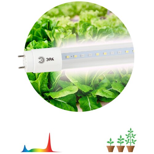 ���� ��������� ��� �������� ������������ ��� FITO-18W-Ra90-�8-G13-NL ������� ������� 18 �� �8 G13 ������ ������