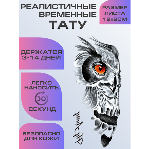 ���� ���� ���������� ��������������, ��������� ���� ������ ������